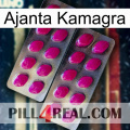 Ajanta Kamagra 10